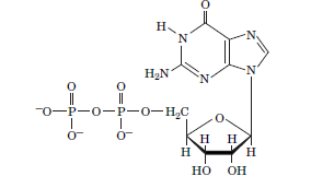 H2N
N.
||
-0-P-0-P-0-H,C
нн
H
H
но
OH
