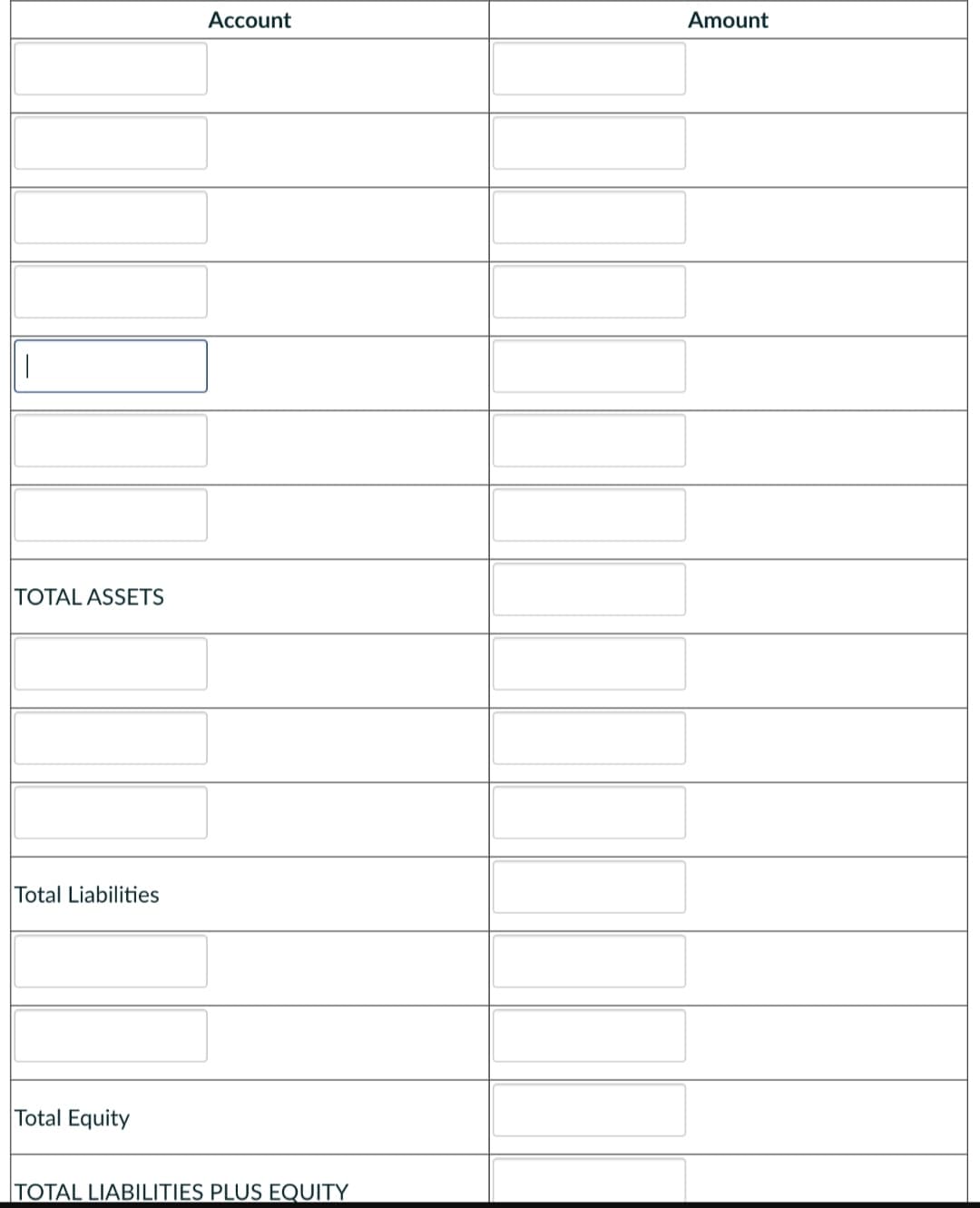 1
TOTAL ASSETS
Total Liabilities
Total Equity
Account
TOTAL LIABILITIES PLUS EQUITY
Amount