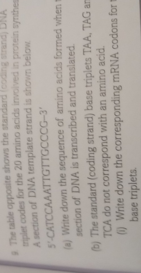 . The table opposite shows the standard (coding strand) DNA
rinlet codes for the 20 amino acids involved in protein synthes
A section of DNA template strand is shown below.
5'-CATCCAAATTGTTGCCCG-3'
(a) Write down the sequence of amino acids formed when t
section of DNA is transcribed and translated.
(b) The standard (coding strand) base triplets TAA, TAG ar
TCA do not correspond with an amino acid.
)Write down the corresponding MRNA codons for t
base triplets.
