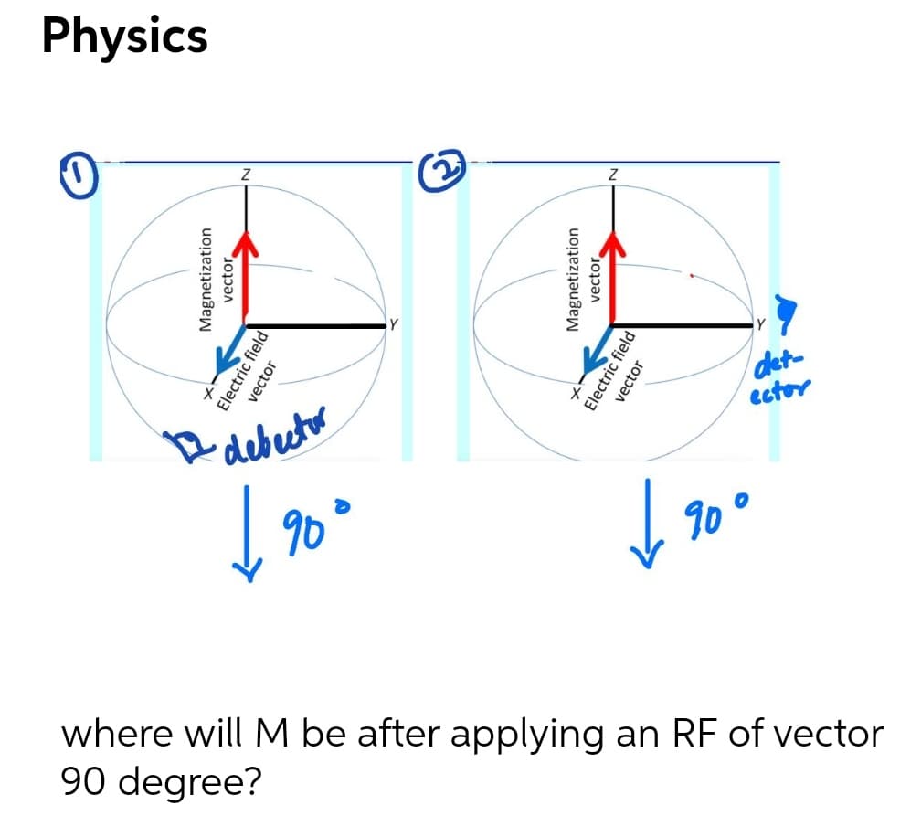 Physics
e debector
det-
ector
90°
L 90°
where will M be after applying an RF of vector
90 degree?
Magnetization
vector
Electric field
vector
Magnetization
vector
Electric field
vector
