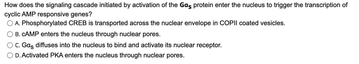 How does the signaling cascade initiated by activation of the Gas protein enter the nucleus to trigger the transcription of
cyclic AMP responsive genes?
O A. Phosphorylated CREB is transported across the nuclear envelope in COPIIl coated vesicles.
B. CAMP enters the nucleus through nuclear pores.
C. Gas diffuses into the nucleus to bind and activate its nuclear receptor.
O D. Activated PKA enters the nucleus through nuclear pores.
