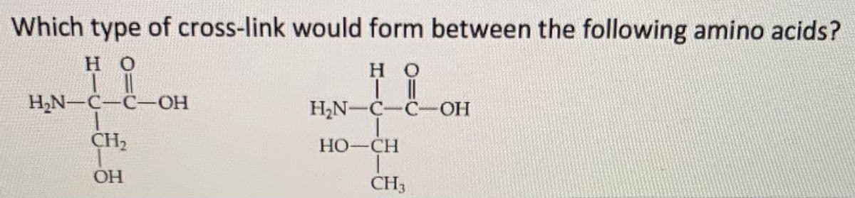 Which type of cross-link would form between the following amino acids?
но
но
H2N-C-C-OH
H,N-C-C-OH
CH2
HO-CH
ОН
CH3
