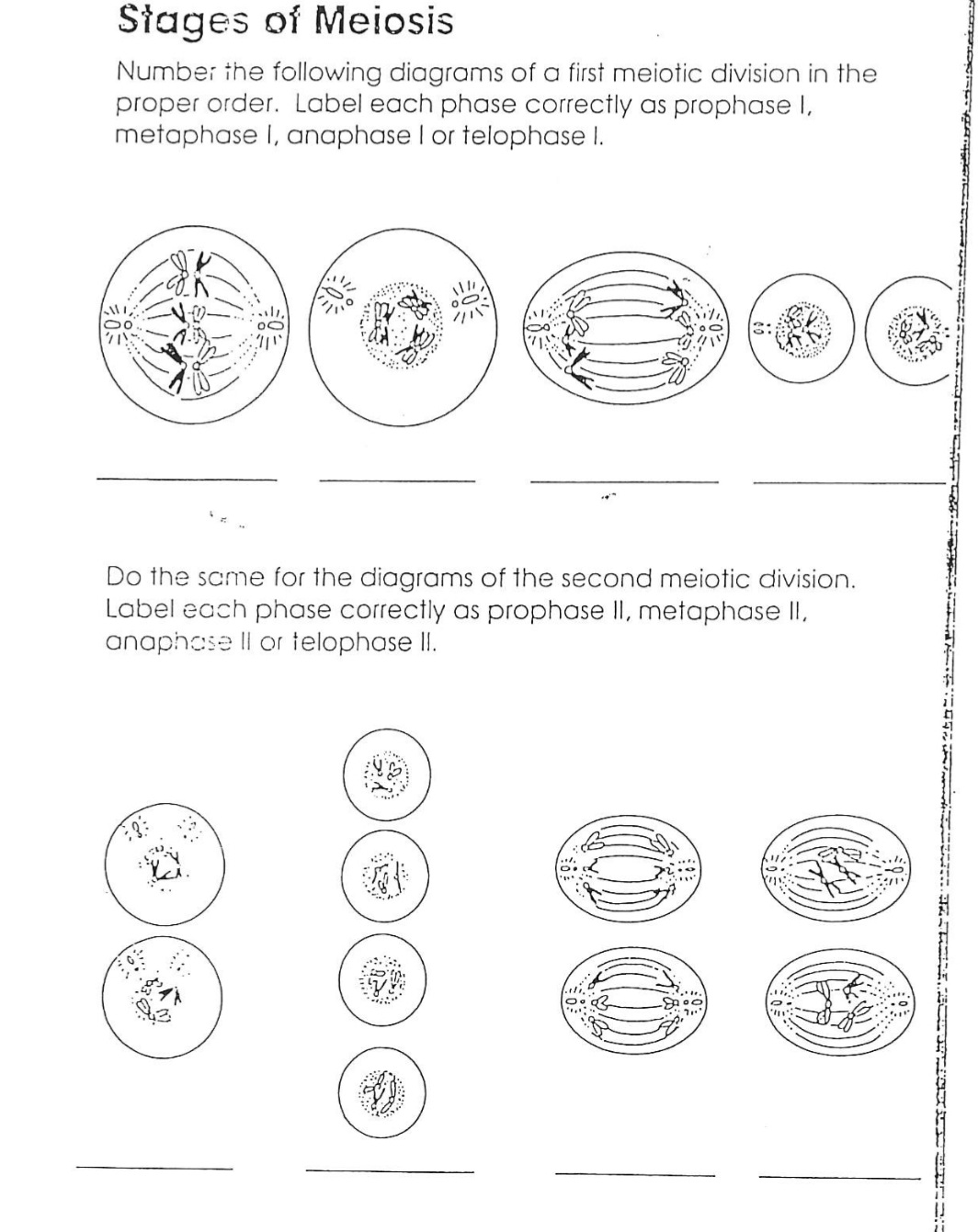 Stages of Meiosis
Number the following diagrams of a first meiotic division in the
proper order. Label each phase correctly as prophase
metaphase I, anaphase I or telophase I.
I,
€0€
Do the same for the diagrams of the second meiotic division.
Label each phase correctly as prophase II, metaphase II,
anaphase II or telophase II.
?!
D
APER
..
8000
J
1533
ܘ ܝ ܠܘܘ ܝܛܛܝܐܕܐ ܦܐܝܐܕܐܬܝܝܘܐ: ܦ