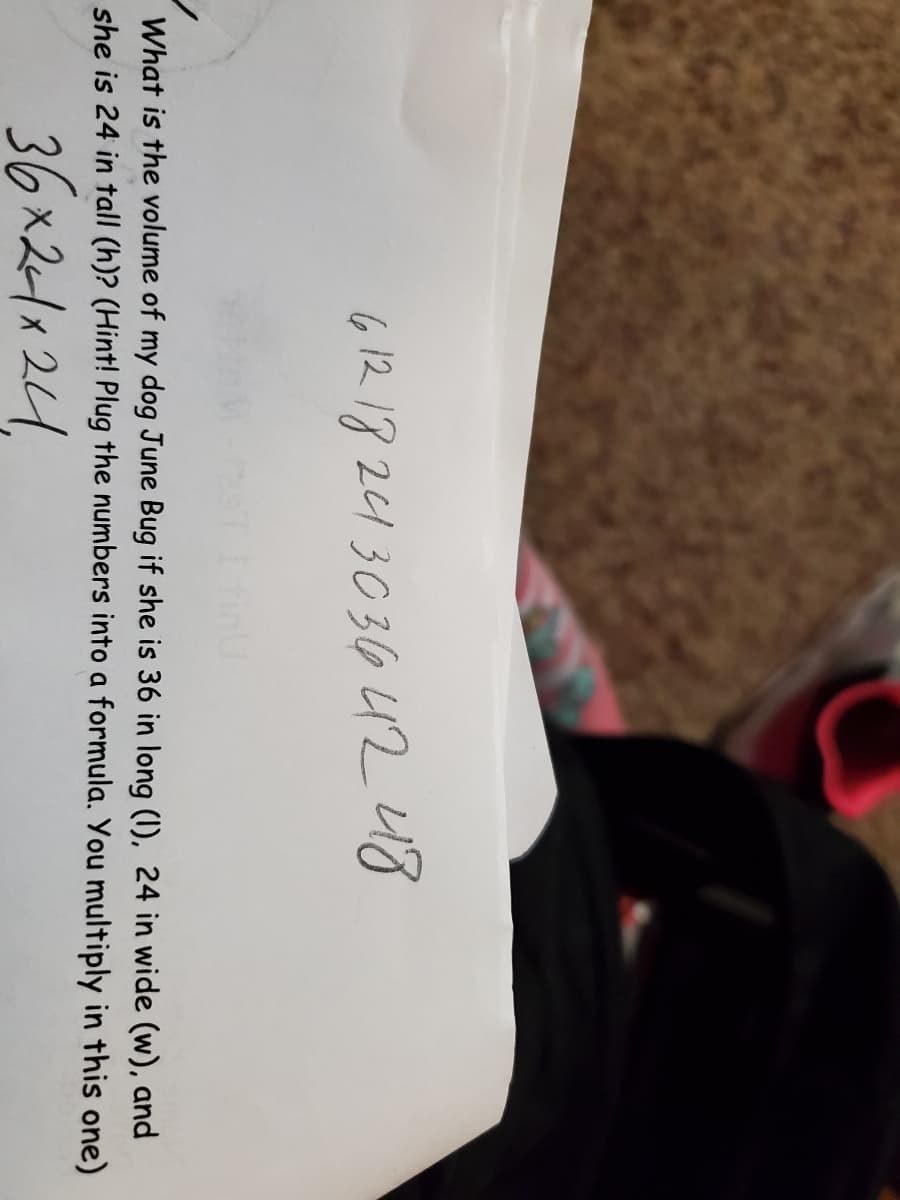 61218 261 3036 42 48
What is the volume of my dog June Bug if she is 36 in long (1), 24 in wide (w), and
she is 24 in tall (h)? (Hint! Plug the numbers into a formula. You multiply in this one)
36x21x 24
