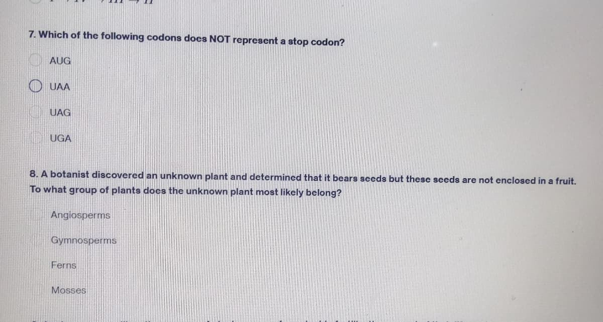 7. Which of the following codons does NOT represent a stop codon?
AUG
UAA
UAG
UGA
8. A botanist discovered an unknown plant and determined that it bears seeds but these seeds are not enclosed in a fruit.
To what group of plants does the unknown plant most likely belong?
Angiosperms
Gymnosperms
Ferns
Mosses