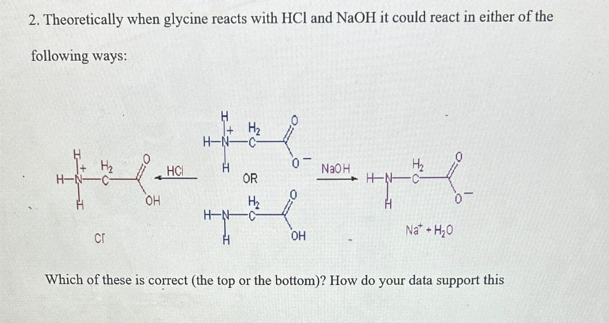 2. Theoretically when glycine reacts with HCl and NaOH it could react in either of the
following ways:
H₂
H-N-C-
СГ
OH
HCI
H
-0-N-H
H
H₂
H
OR
H₂
H-NC-
0-
OH
NaOH
4
H₂
H-NC-
H
0-
Nat+ H₂O
Which of these is correct (the top or the bottom)? How do your data support this