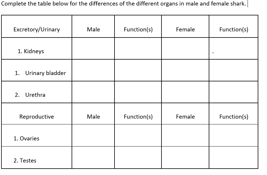 Complete the table below for the differences of the different organs in male and female shark.
Excretory/Urinary
Male
Function(s)
Female
Function(s)
1. Kidneys
1. Urinary bladder
Urethra
2.
Reproductive
Male
Function(s)
Female
Function(s)
1. Ovaries
2. Testes
