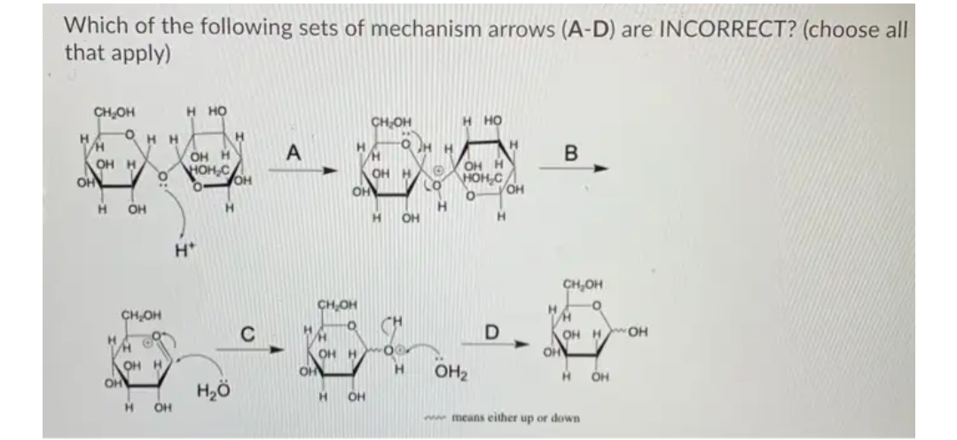 Which of the following sets of mechanism arrows (A-D) are INCORRECT? (choose all
that apply)
CH,OH
H HỌ
CHOH
H HO
H.
OH H
H.
O H H
OH H
OH
OH H
HOH,C
OH H
HOH,C
он
OH H
OH
OH
H.
H.
OH
H.
H*
CH,OH
CH OH
H.
CH,OH
D
OH
OH H
OH
OH H
OH
OH H
H.
OH2
OH
OH
H2ö
H.
OH
H.
ww means either up or down
