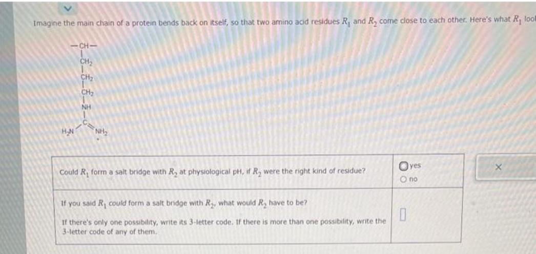 Imagine the main chain of a protein bends back on itself, so that two amino acid residues R. and R, come close to each other. Here's what R₁ lool
ABRIKa
-CHI
H₂N
CH₂
CH₂
CH₂
NH₂
Could R, form a salt bridge with R₂ at physiological pH, if R₂ were the right kind of residue?
Oyes
O no
If you said R₁ could form a salt bridge with R₂, what would R₂ have to be?
0
If there's only one possibility, write its 3-letter code. If there is more than one possibility, write the
3-letter code of any of them.