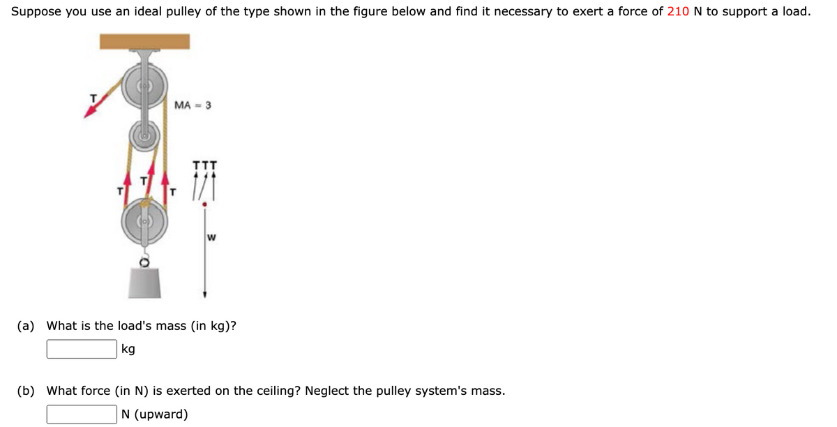 Suppose you use an ideal pulley of the type shown in the figure below and find it necessary to exert a force of 210 N to support a load.
MA = 3
W
(a) What is the load's mass (in kg)?
kg
(b) What force (in N) is exerted on the ceiling? Neglect the pulley system's mass.
N (upward)