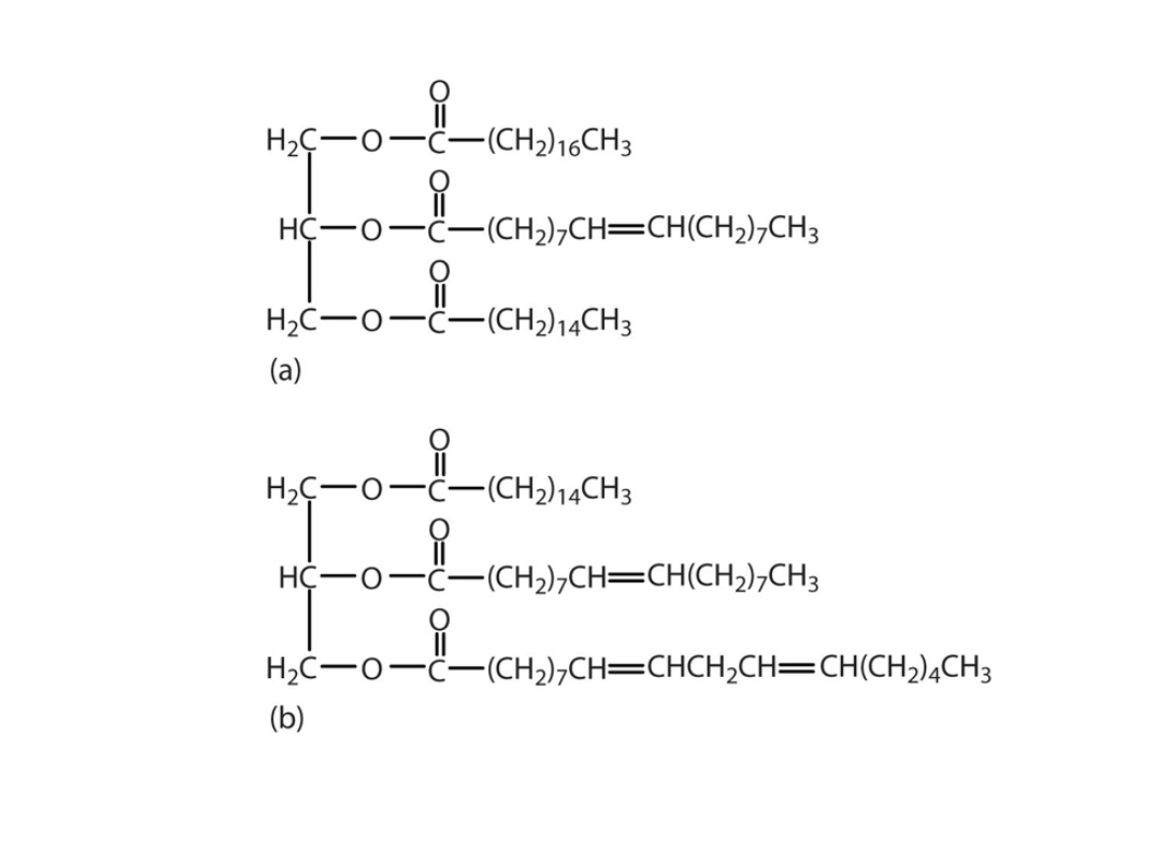 Нас—о—€—CH)16CH3
---CncmCncn).o,
n-o--ronm.om,
-ċ-(CH,);CH=CH(CH2),CH3
H2C-0-C-(CH2)14CH3
(a)
Н-с—о—€—CH)14CH3
HC-o-C-CH2),CH=CH(CH,);CH3
H2C-0--(CH2),CH=CHCH,CH=CH(CH,)4CH3
(b)
