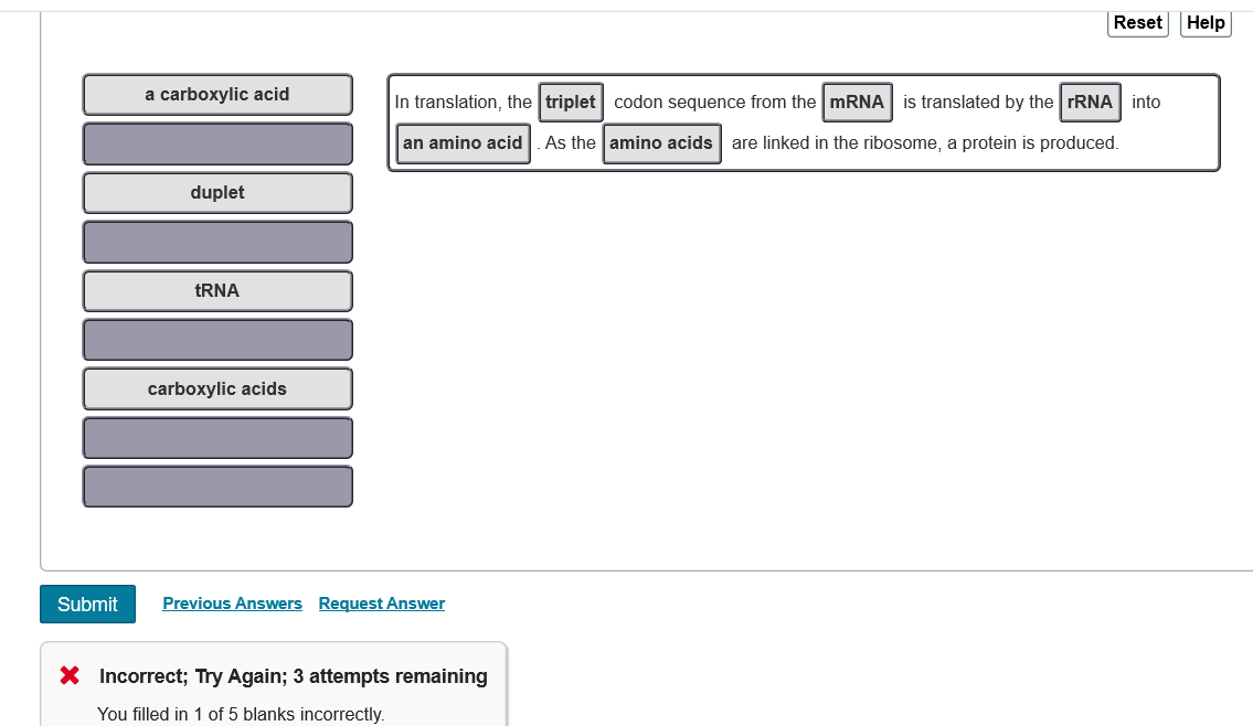 Reset
Help
a carboxylic acid
In translation, the triplet codon sequence from the MRNA is translated by the rRNA into
an amino acid
As the amino acids are linked in the ribosome, a protein is produced.
duplet
TRNA
carboxylic acids
Submit
Previous Answers Request Answer
X Incorrect; Try Again; 3 attempts remaining
You filled in 1 of 5 blanks incorrectly.
