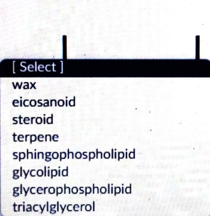 [Select]
wax
eicosanoid
steroid
terpene
sphingophospholipid
glycolipid
glycerophospholipid
triacylglycerol