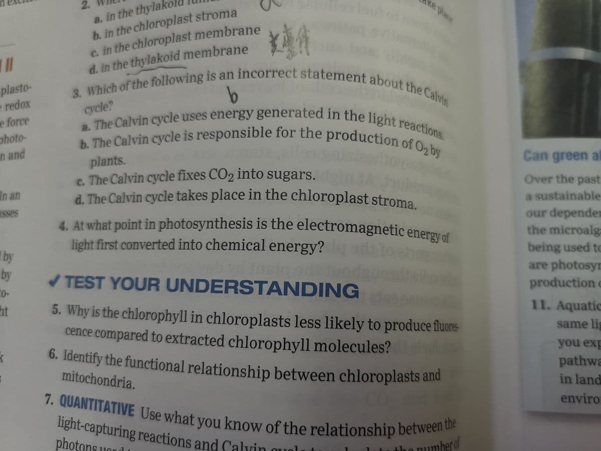 ke plane
a. The Calvin cycle uses energy generated in the light reactions.
3. Which of the following is an incorrect statement about the Calvin
6. Identify the functional relationship between chloroplasts and
7. QUANTITATIVE Use what you know of the relationship between the
a. in the thylake
b. in the chloroplast stroma
c. in the chloroplast membrane
d. in the thylakoid membrane
4. At what point in photosynthesis is the electromagnetic energy of
b. The Calvin cycle is responsible for the production of O2 by
d. The Calvin cycle takes place in the chloroplast stroma.
2.
plasto-
e redox
e force
photo-
an and
Can green al
plants.
c. The Calvin cycle fixes CO2 into sugars.
Over the past
In an
a sustainable
our depender
the microalg:
RSses
4. At what point in photosynthesis is the electromagnetic eneroue
light first converted into chemical energy?
being used to
are photosyn
production c
I by
by
TEST YOUR UNDERSTANDING
to-
11. Aquatic
5. Why is the chlorophyll in chloroplasts less likely to produce fluore-
cence compared to extracted chlorophyll molecules?
ht
same lig
you exp
6. Identify the functional relationship between chloroplasts and
pathwa
mitochondria.
in land
enviro
light-capturing reactions and Calvin ouol
photons ugo
the numberof
