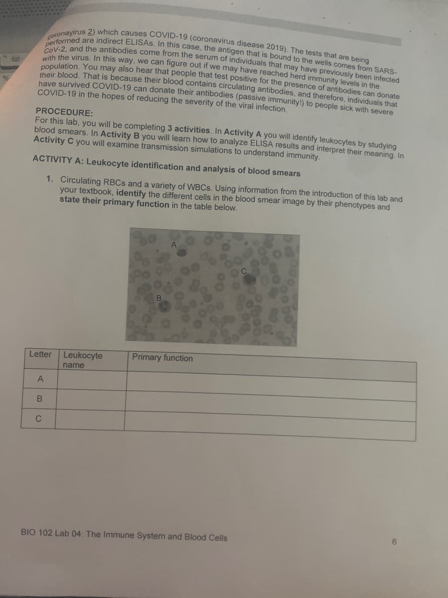 %
coronavirus 2) which causes COVID-19 (coronavirus disease 2019). The tests that are being
performed are indirect ELISAs. In this case, the antigen that is bound to the wells comes from SARS-
CoV-2, and the antibodies come from the serum of individuals that may have previously been infected
with the virus. In this way, we can figure out if we may have reached herd immunity levels in the
population. You may also hear that people that test positive for the presence of antibodies can donate
their blood. That is because their blood contains circulating antibodies, and therefore, individuals that
have survived COVID-19 can donate their antibodies (passive immunity!) to people sick with severe
COVID-19 in the hopes of reducing the severity of the viral infection.
PROCEDURE:
For this lab, you will be completing 3 activities. In Activity A you will identify leukocytes by studying
blood smears. In Activity B you will learn how to analyze ELISA results and interpret their meaning. In
Activity C you will examine transmission simulations to understand immunity.
ACTIVITY A: Leukocyte identification and analysis of blood smears
1. Circulating RBCs and a variety of WBCs. Using information from the introduction of this lab and
your textbook, identify the different cells in the blood smear image by their phenotypes and
state their primary function in the table below.
B
A
Letter
Leukocyte
name
Primary function
A
B
C
BIO 102 Lab 04: The Immune System and Blood Cells
6