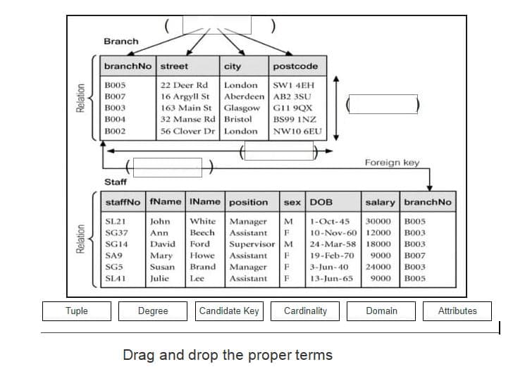 Branch
branchNo street
city
postcode
sWI 4EH
16 Argyll St Aberdeen AB2 3SU
GI1 9QX
BO05
22 Deer Rd
London
BO07
BO03
163 Main StGlasgow
BO04
32 Manse Rd Bristol
BS99 INZ
BO02
56 Clover Dr London
NW10 6EU
Foreign key
Staff
staffNo fName IName| position
salary branchNo
sex DOB
SL21
John
White
Manager
Assistant
M
1-Oct-45
30000
BO05
SG37
Ann
Beech
10-Nov-60 12000
вооз
SG14
David
Ford
Supervisor M
24-Mar-58
18000
BO03
SA9
Mary
Howe
Assistant
19-Feb-70
9000
BO07
SG5
Susan
Brand
Manager
3-Jun-40
24000
BO03
SLA1
Julie
Lee
Assistant
13-Jun-65
9000
BO05
Tuple
Degree
Candidate Key
Cardinality
Domain
Attributes
Drag and drop the proper terms
Relation
Relation
