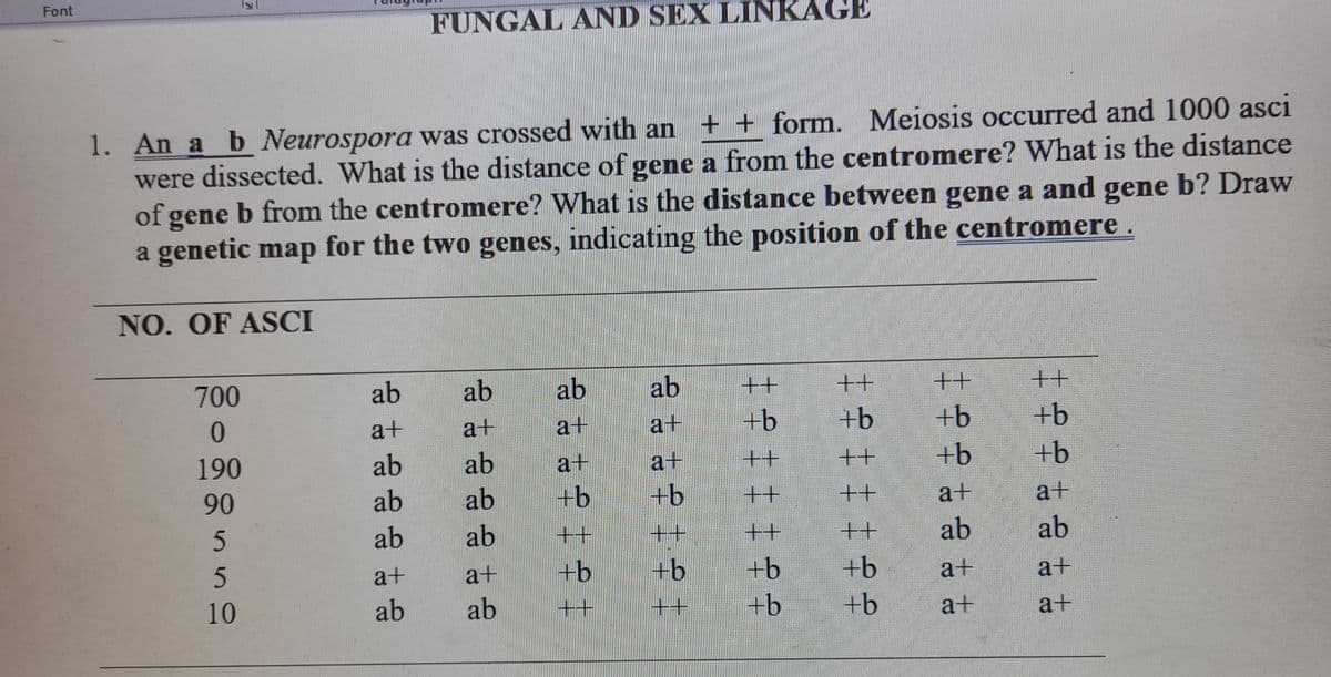 Font
FUNGAL AND SEX LINKAGE
1. An a b Neurospora was crossed with an + + form. Meiosis occurred and 1000 asci
were dissected. What is the distance of gene a from the centromere? What is the distance
of gene b from the centromere? What is the distance between gene a and gene b? Draw
a genetic map for the two genes, indicating the position of the centromere.
NO. OF ASCI
700
ab
ab
ab
ab
十+
十+
++
十+
a+
a+
a+
a+
+b
+b
+b
+b
190
ab
ab
a+
a+
十+
十+
+b
+b
90
ab
ab
+b
+b
十+
++
a+
a+
ab
ab
十+
十+
++
十+
ab
ab
a+
a+
+b
+b
+b
+b
a+
a+
10
ab
ab
++
++
+b
+b
a+
a+
