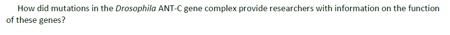 How did mutations in the Drosophila ANT-C gene complex provide researchers with information on the function
of these genes?
