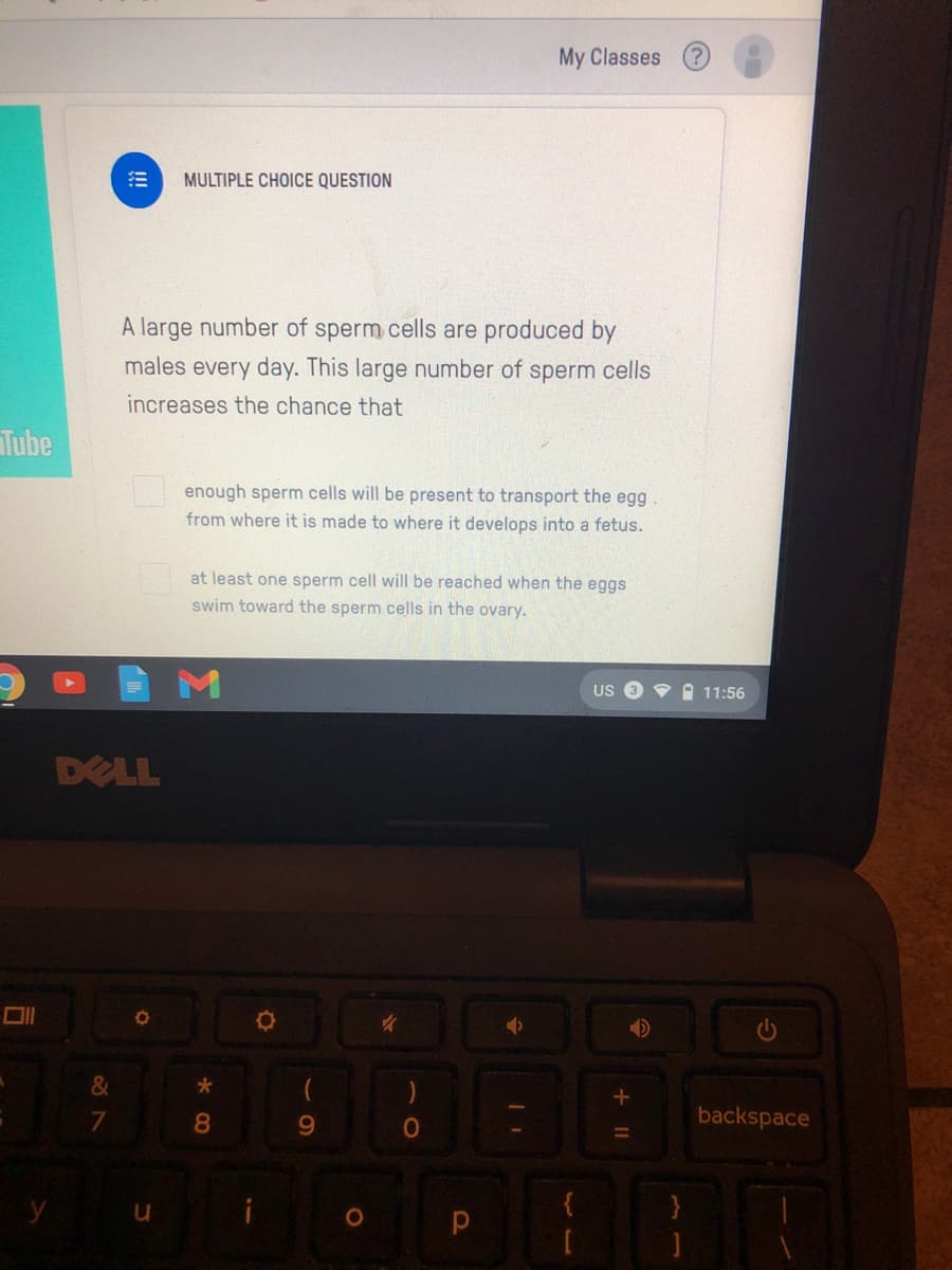 My Classes
MULTIPLE CHOICE QUESTION
A large number of sperm cells are produced by
males every day. This large number of sperm cells
increases the chance that
Tube
enough sperm cells will be present to transport the egg
from where it is made to where it develops into a fetus.
at least one sperm cell will be reached when the eggs
swim toward the sperm cells in the ovary.
US
v 11:56
DELL
&
7
backspace
+ II
* 00
