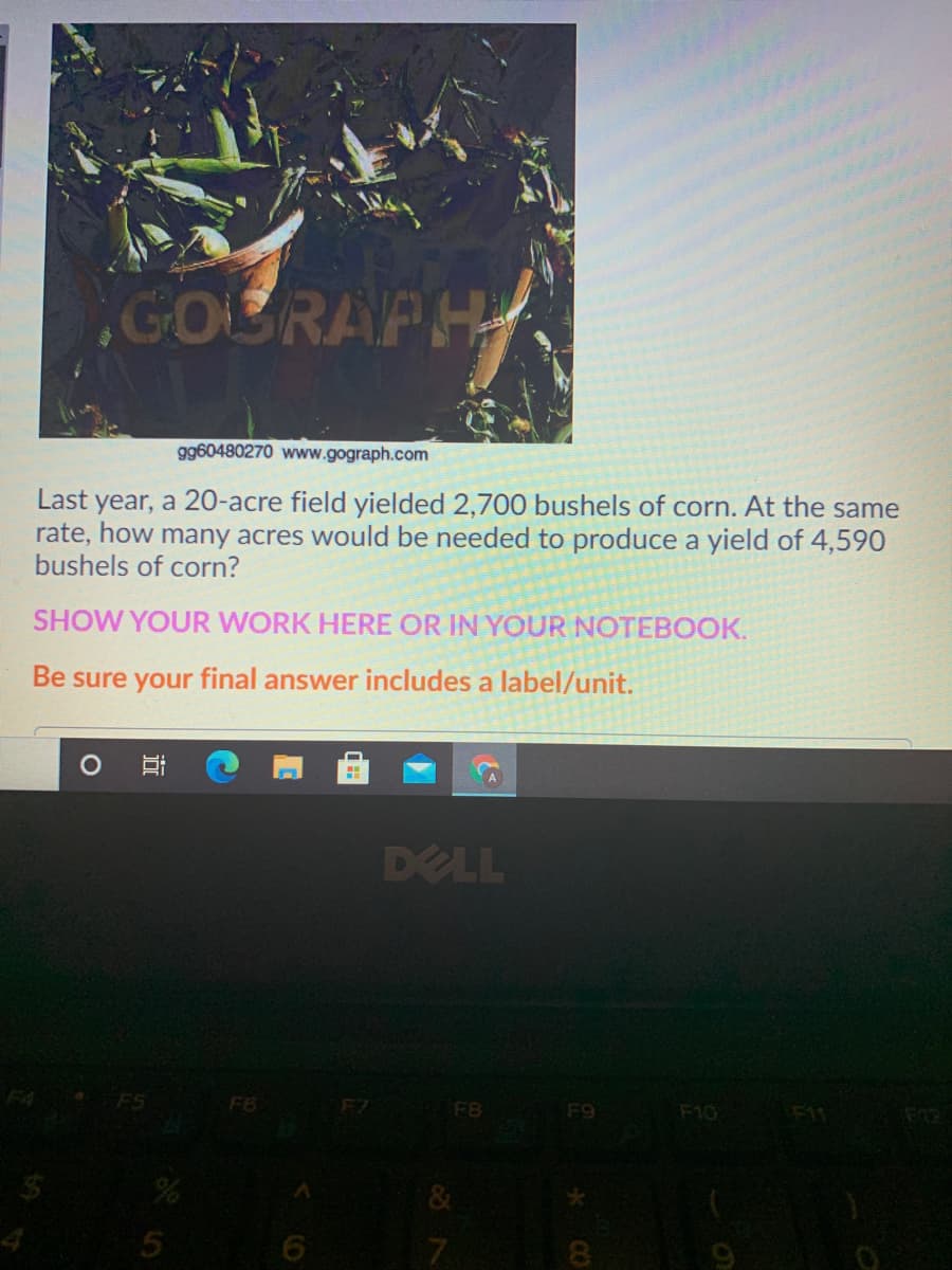 GOORAPH
gg60480270 www.gograph.com
Last year, a 20-acre field yielded 2,700 bushels of corn. At the same
rate, how many acres would be needed to produce a yield of 4,590
bushels of corn?
SHOW YOUR WORK HERE OR IN YOUR NOTEBOOK.
Be sure your final answer includes a label/unit.
DELL
FS
F6
F7
F8
F9
F10
F1
&
7
*CO
