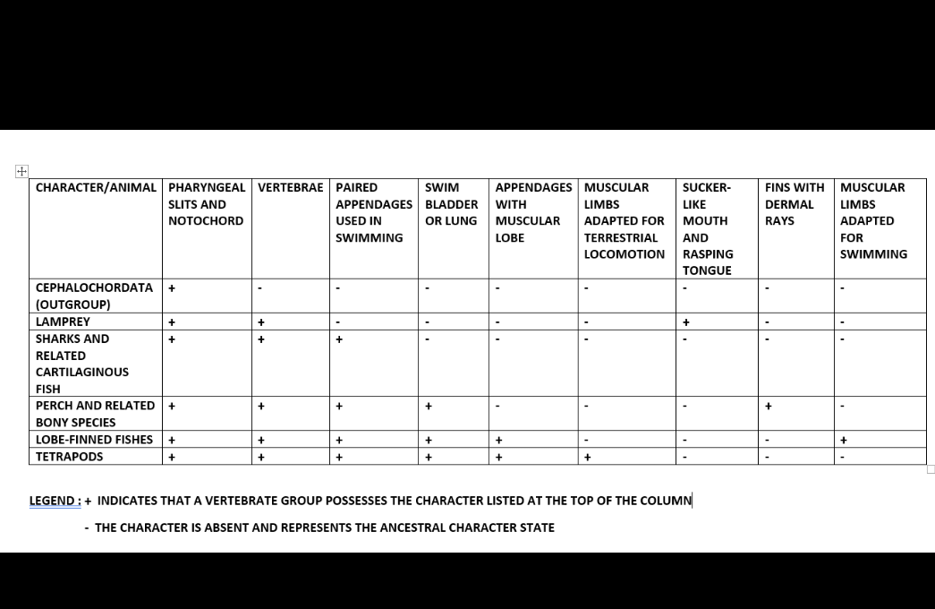 CHARACTER/ANIMAL PHARYNGEAL VERTEBRAE PAIRED
SWIM
APPENDAGES MUSCULAR
SUCKER-
FINS WITH MUSCULAR
APPENDAGES BLADDER WITH
OR LUNG MUSCULAR
SLITS AND
LIMBS
LIKE
DERMAL
LIMBS
NOTOCHORD
USED IN
ADAPTED FOR
MOUTH
RAYS
ADAPTED
SWIMMING
LOBE
TERRESTRIAL
AND
FOR
LOCOMOTION RASPING
SWIMMING
TONGUE
CEPHALOCHORDATA
+
(OUTGROUP)
LAMPREY
+
+
+
SHARKS AND
+
RELATED
CARTILAGINOUS
FISH
PERCH AND RELATED +
+
+
BONY SPECIES
LOBE-FINNED FISHES
+
+
+
+
+
+
TETRAPODS
+
+
+
LEGEND :+ INDICATES THAT A VERTEBRATE GROUP POSSESSES THE CHARACTER LISTED AT THE TOP OF THE COLUMN
- THE CHARACTER IS ABSENT AND REPRESENTS THE ANCESTRAL CHARACTER STATE
