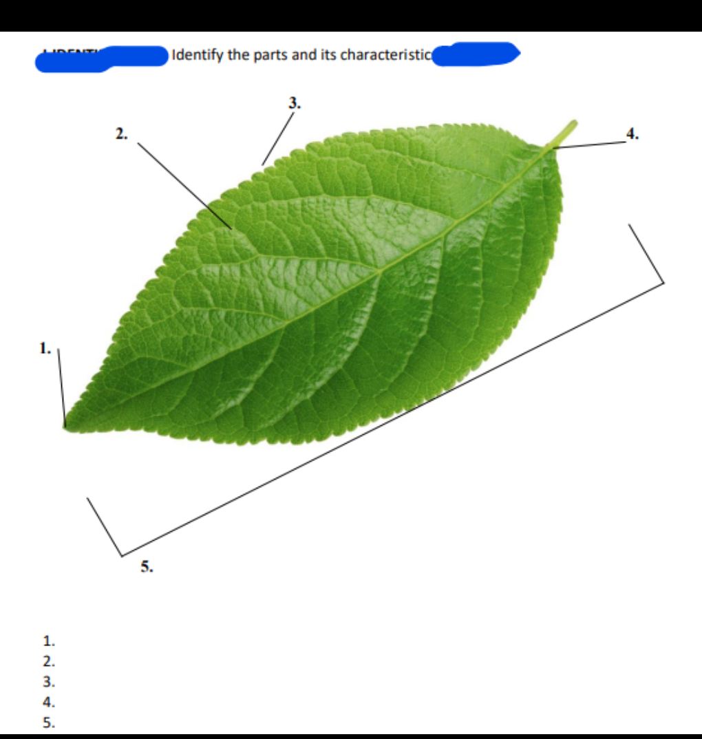 Identify the parts and its characteristic
3.
2.
5.
1.
2.
3.
4.
5.
