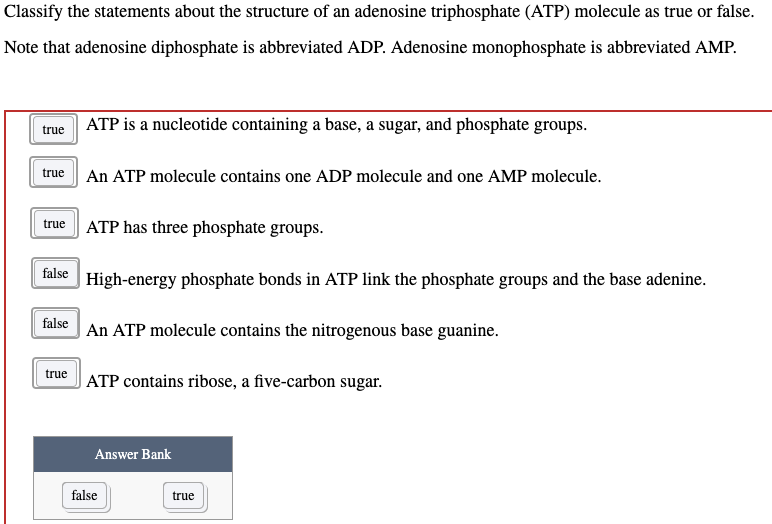 Classify the statements about the structure of an adenosine triphosphate (ATP) molecule as true or false.
Note that adenosine diphosphate is abbreviated ADP. Adenosine monophosphate is abbreviated AMP.
true ATP is a nucleotide containing a base, a sugar, and phosphate groups.
true An ATP molecule contains one ADP molecule and one AMP molecule.
true ATP has three phosphate groups.
false
false
true
High-energy phosphate bonds in ATP link the phosphate groups and the base adenine.
An ATP molecule contains the nitrogenous base guanine.
ATP contains ribose, a five-carbon sugar.
Answer Bank
false
true