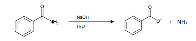 NaOH
`NH2
NH3
+
H20
O:
