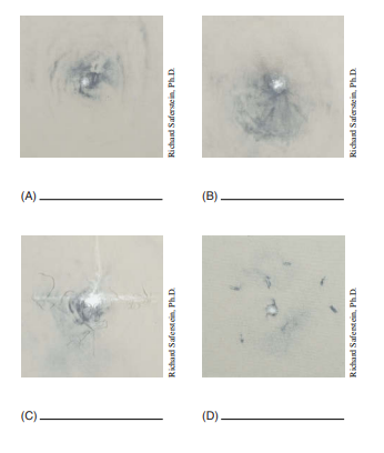 (A)
(B)
(C)
Rikchand Safenstein, Ph.D.
Richand Safarste in, Ph.D.
Richand Safentein, Ph.D.
Richand Saferste in, Ph.D.
