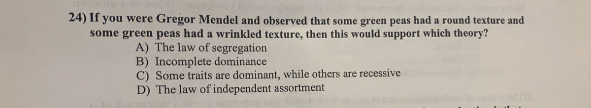 24) If you were Gregor Mendel and observed that some green peas had a round texture and
some green peas had a wrinkled texture, then this would support which theory?
A) The law of segregation
B) Incomplete dominance
C) Some traits are dominant, while others are recessive
D) The law of independent assortment
