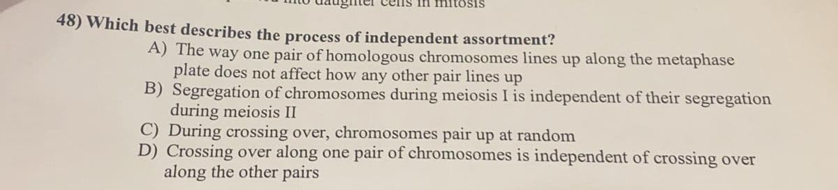 Itosis
48) Which best describes the process of independent assortment?
A) The way one pair of homologous chromosomes lines up along the metaphase
plate does not affect how any other pair lines up
B) Segregation of chromosomes during meiosis I is independent of their segregation
during meiosis II
C) During crossing over, chromosomes pair up at random
D) Crossing over along one pair of chromosomes is independent of crossing over
along the other pairs
