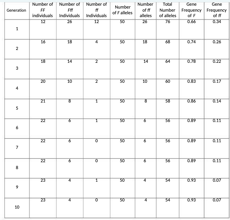 Generation
1
2
3
4
5
6
7
8
9
10
Number of
FF
individuals
12
16
18
20
21
22
22
22
23
23
Number of
Fff
Individuals
26
18
14
10
8
6
6
6
4
4
Number of
ff
Individuals
12
4
2
2
1
1
lo
lo
1
0
Number
of Falleles
50
50
50
50
50
50
50
50
50
50
Number
of ff
alleles
26
18
14
10
8
6
6
ܩܐ
6
4
4
Total
Number
of alleles
76
68
64
60
58
56
56
56
54
54
Gene
Gene
Frequency Frequency
of F
of ff
0.66
0.34
0.74
0.78
0.83
0.86
0.89
0.89
0.89
0.93
0.93
0.26
0.22
0.17
0.14
0.11
0.11
0.11
0.07
0.07