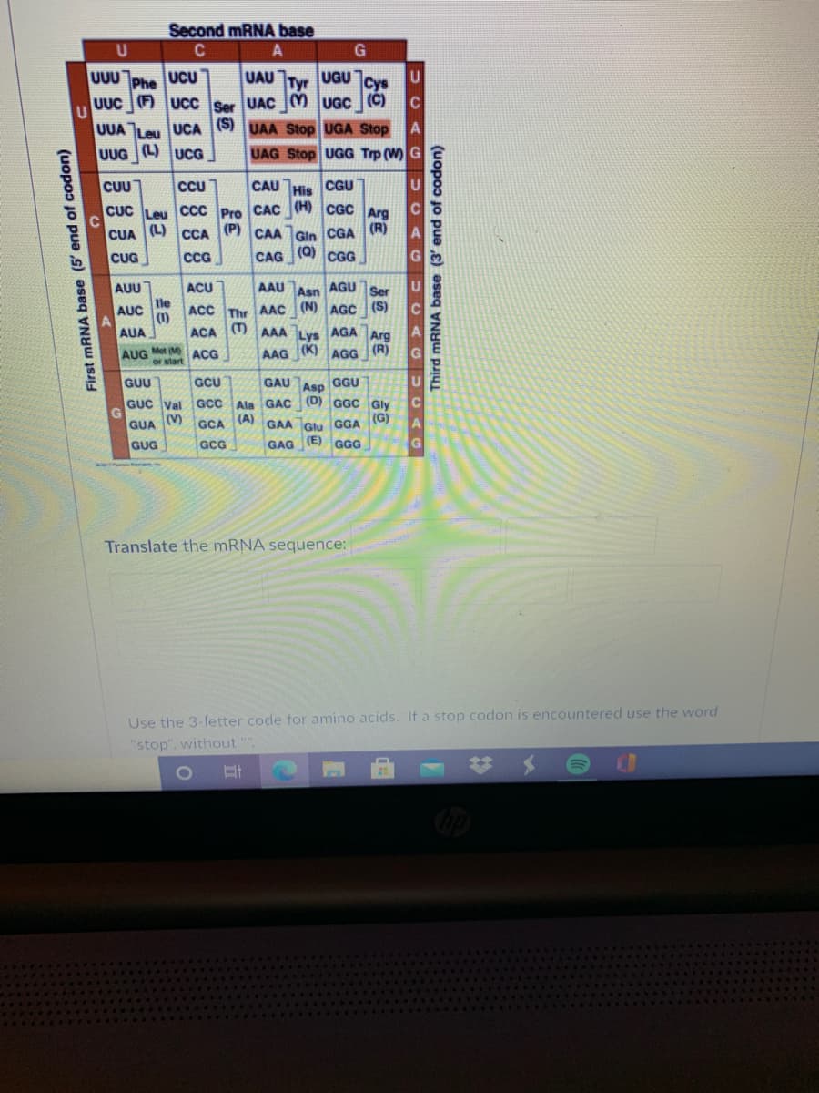 Second MRNA base
C.
Phe
UUC (F ucc Ser UAC (Y UGC (C)
UUU
UCU
UAU
Tyr
UGU
(S)
UAA Stop UGA Stop
UAG Stop UGG Trp (W) G
UUA
Leu
UCA
UUG (L) UCG
CUU
CU
CAU THis CGU
CUC Leu CCC Pro CAC (H) CGC Arg
CUA (L) cCA P) CAA Gin CGA (R)
CAG (Q) CGG
CUG
CCG
AUU
ACU
AAU
Asn
AGU
Ser
lle
(1)
ACA
AUC
ACC Thr AAC (N) AGC (S)
AUA
(T)
AAA
AGA
Lys
(K)
Arg
(R)
AUG Met (M ACG
start
AAG
AGG
GUU
GAU Asp GGU
GUC Val GCC Ala GAC (D) GGC Gly
(G)
GCU
C.
GUA
(V)
GCA
(A)
GAA Glu GGA
GUG
GCG
GAG
(E)
GGG
Translate the MRNA sequence:
Use the 3-letter code for amino acids. If a stop codon is encountered use the word
"stop", without "
23
First mRNA base (5' end of codon)
Third mRNA base (3' end of codon)
