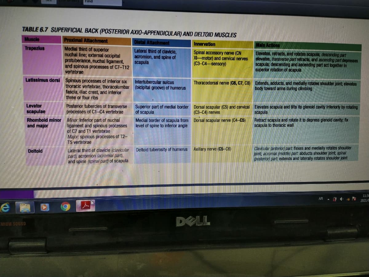 Find
TABLE 6.7 SUPERFICIAL BACK (POSTERIOR AXIO-APPENDICULAR) AND DELTOID MUSCLES
Muscle
Proximal Attachment
Distal Attachment
Innervation
Main Actions
Trapezius
Medial third of superior
nuchal line; external occipital
protuberance, nuchal ligament,
and spinous processes of C7-T12
vertebrae
Lateral third of clavicle,
acromion, and spine of
scapula
Spinal accessory nerve (CN
X-motor) and cervical nerves
(C3-C4-sensory)
Elevates, retracts, and rotates scapula; descending part
elevates, transverse part retracts, and ascending part depresses
scapula; descending and ascending part act together In
superior rotation of scapula
Latissimus dorsi Spinous processes of inferior six
Intertubercular sulcus
thoracic vertebrae, thoracolumbar (bicipital groove) of humerus
fascia, iliac crest, and inferior
three or four ribs
Thoracodorsal nerve (C6, C7, C8) Extends, adducts, and medially rotates shoulder joint; elevates
body toward arms during climbing
Levator
Posterior tubercles of transverse
processes of C1-C4 vertebrae
Superior part of medial border Dorsal scapular (C5) and cervical Elevates scapula and tilts its glenoid cavity inferiorly by rotating
of scapula
scapulae
(C3-C4) nerves
scapula
Rhomboid minor Minor: Inferior part of nuchal
and major
Medial border of scapula from Dorsal scapular nerve (C4-C5)
level of spine to inferior angle
Retract scapula and rotate it to depress glenoid cavity; fix
scapula to thoracic wall
ligament and spinous processes
of C7 and T1 vertebrae
Major: spinous processes of T2-
T5 vertebrae
Lateral third of clavicle (clavicular
part), acromion (acromial part),
and spine (spinal part of scapula
Clavicular (anterior) part. flexes and medially rotates shoulder
joint; acromial (middle) part: abducts shoulder joint; spinal
posterior) part extends and laterally rotates shoulder joint
Deltoid
Deltoid tuberosity of humerus Axillary nerve (C5-C6)
11:50
AR A * *
2021/C
DELL
EMIUM SOUND
