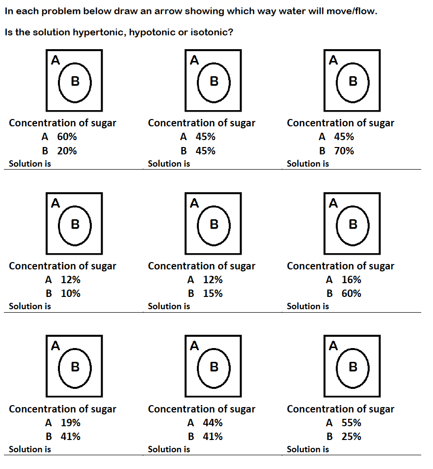 In each problem below draw an arrow showing which way water will move/flow.
Is the solution hypertonic, hypotonic or isotonic?
A
A
A
B
B
в
Concentration of sugar
А 60%
В 20%
Concentration of sugar
Concentration of sugar
A 45%
В 45%
A 45%
В 70%
Solution is
Solution is
Solution is
A
A
A
B
B
B
Concentration of sugar
A 12%
Concentration of sugar
A 12%
В 15%
Concentration of sugar
A 16%
В 60%
B 10%
Solution is
Solution is
Solution is
A
A
A
B
Concentration of sugar
Concentration of sugar
Concentration of sugar
A 19%
A 44%
В 41%
A 55%
B 41%
B 25%
Solution is
Solution is
Solution is
