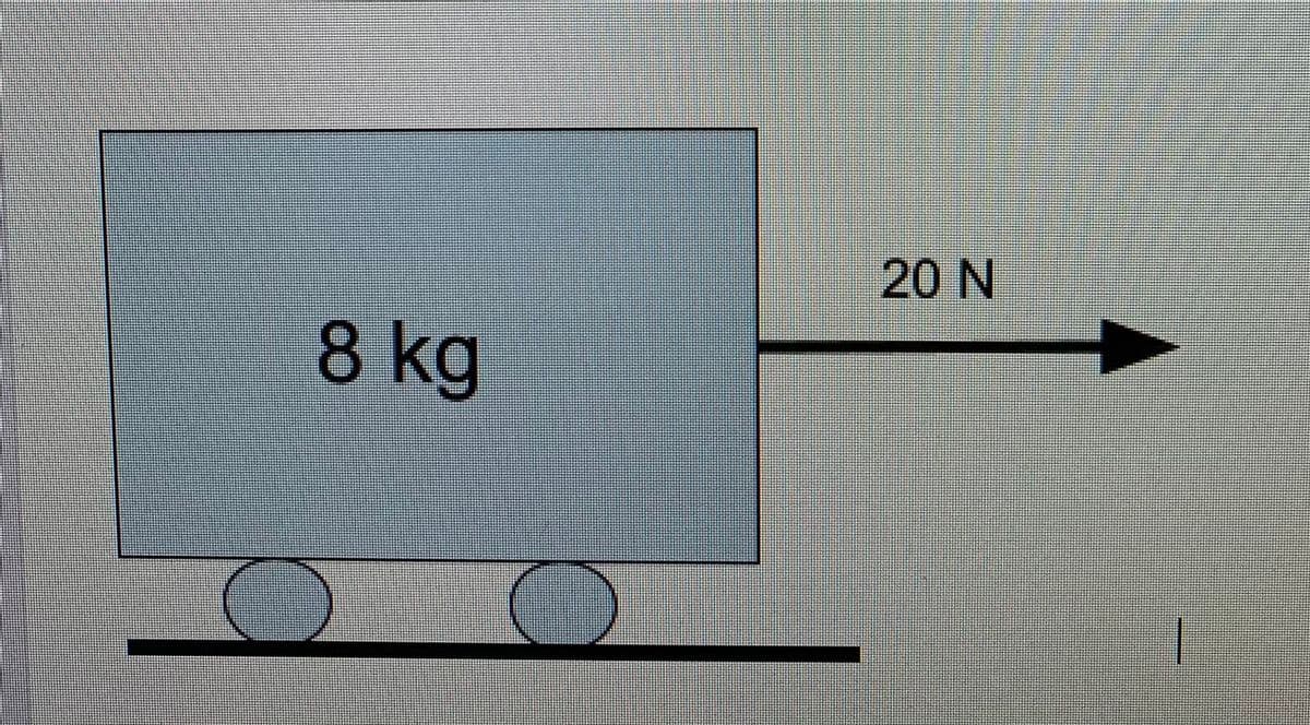 20 N
8 kg
