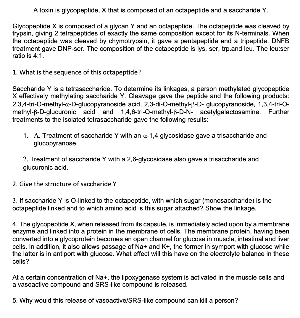 A toxin is glycopeptide, X that is composed of an octapeptide and a saccharide Y.
Glycopeptide X is composed of a glycan Y and an octapeptide. The octapeptide was cleaved by
trypsin, giving 2 tetrapeptides of exactly the same composition except for its N-terminals. When
the octapeptide was cleaved by chymotrypsin, it gave a pentapeptide and a tripeptide. DNFB
treatment gave DNP-ser. The composition of the octapeptide is lys, ser, trp.and leu. The leu:ser
ratio is 4:1.
1. What is the sequence of this octapeptide?
Saccharide Y is a tetrasaccharide. To determine its linkages, a person methylated glycopeptide
X effectively methylating saccharide Y. Cleavage gave the peptide and the following products:
2,3,4-tri-O-methyl-a-D-glucopyranoside acid, 2,3-di-O-methyl-ß-D- glucopyranoside, 1,3,4-tri-O-
methyl-ß-D-glucuronic acid
treatments to the isolated tetrasaccharide gave the following results:
and
1,4,6-tri-O-methyl-ß-D-N- acetylgalactosamine. Further
1. A. Treatment of saccharide Y with an a-1,4 glycosidase gave a trisaccharide and
glucopyranose.
2. Treatment of saccharide Y with a 2,6-glycosidase also gave a trisaccharide and
glucuronic acid.
2. Give the structure of saccharide Y
3. If saccharide Y is O-linked to the octapeptide, with which sugar (monosaccharide)
octapeptide linked and to which amino acid is this sugar attached? Show the linkage.
the
4. The glycopeptide X, when released from its capsule, is immediately acted upon by a membrane
enzyme and linked into a protein in the membrane of cells. The membrane protein, having been
converted into a glycoprotein becomes an open channel for glucose in muscle, intestinal and liver
cells. In addition, it also allows passage of Na+ and K+, the former in symport with glucose while
the latter is in antiport with glucose. What effect will this have on the electrolyte balance in these
cells?
At a certain concentration of Na+, the lipoxygenase system is activated in the muscle cells and
a vasoactive compound and SRS-like compound is released.
5. Why would this release of vasoactive/SRS-like compound can kill a person?
