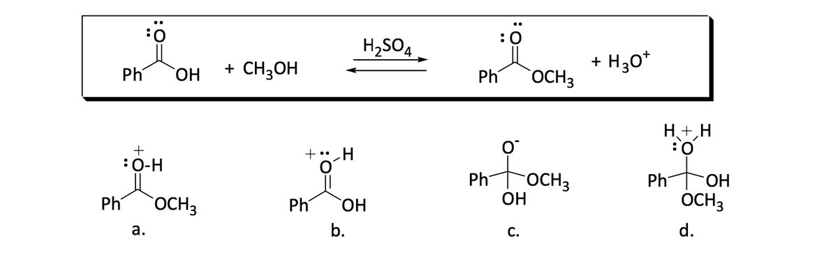 H,SO4
+ H3o*
Ph
HO
+ CH3OH
Ph
OCH3
H+,H
tor
+" H
:0-H
toCH3
Ph
OCH3
HO.
Ph OCH3
OH
Ph
OCH3
Ph
HO,
d.
С.
а.
b.
