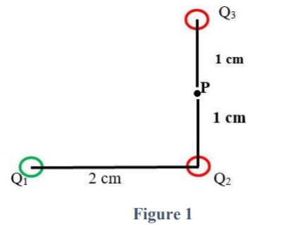 Q3
1 сm
P
1 сm
2 cm
Q2
Figure 1
