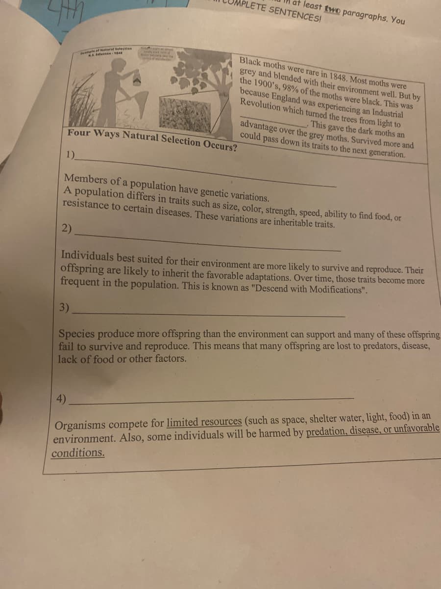 PLETE SENTENCES!
at least two paragraphs. You
ample of Natural Selection
pa Edleston 1648
Black moths were rare in 1848. Most moths were
grey and blended with their environment well. But by
the 1900's, 98% of the moths were black. This was
because England was experiencing an Industrial
Revolution which turned the trees from light to
advantage over the grey moths. Survived more and
This gave the dark moths an
could pass down its traits to the next generation.
Four Ways Natural Selection Occurs?
1)
Members of a population have genetic variations.
A population differs in traits such as size, color, strength, speed, ability to find food, or
resistance to certain diseases. These variations are inheritable traits.
2)
Individuals best suited for their environment are more likely to survive and reproduce. Their
offspring are likely to inherit the favorable adaptations. Over time, those traits become more
frequent in the population. This is known as "Descend with Modifications".
3)
Species produce more offspring than the environment can support and many of these offspring
fail to survive and reproduce. This means that many offspring are lost to predators, disease,
lack of food or other factors.
4)
Organisms compete for limited resources (such as space, shelter water, light, food) in an
environment. Also, some individuals will be harmed by predation, disease, or unfavorable
conditions.