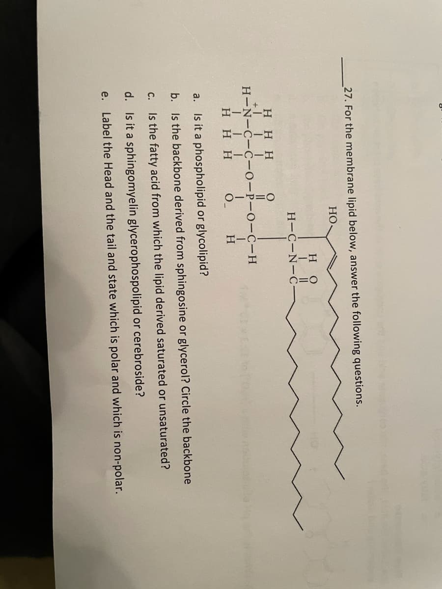 27. For the membrane lipid below, answer the following questions.
но
но
H-C-N-C
HHH
H-N-C-C-0-P-O-C-H
HHH
H.
Is it a phospholipid or glycolipid?
a.
b. Is the backbone derived from sphingosine or glycerol? Circle the backbone
с.
Is the fatty acid from which the lipid derived saturated or unsaturated?
d. Is it a sphingomyelin glycerophospolipid or cerebroside?
e.
Label the Head and the tail and state which is polar and which is non-polar.
