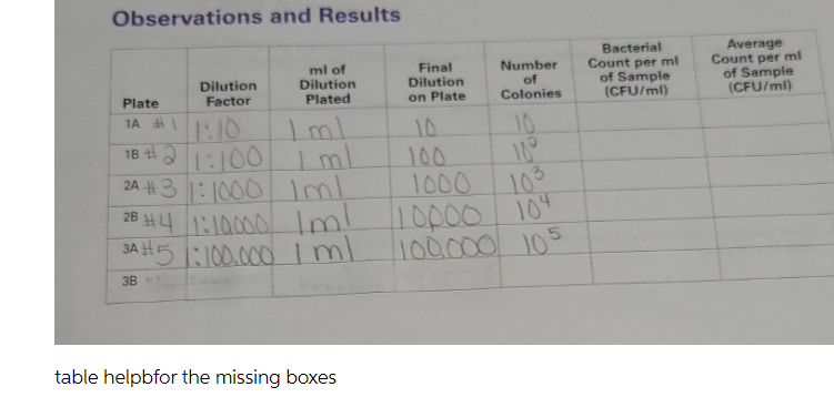 Observations and Results
ml of
Dilution
Plated
Final
Dilution
on Plate
Number
of
Colonies
Bacterial
Count per ml
of Sample
(CFU/ml)
Average
Count per ml
of Sample
(CFU/ml)
Dilution
Factor
Plate
1A H|
1:10
Iml
18 :100 Iml
Iml
28 H41:10000Iml
3A H5:100.000iml
10
10
100
1000
103
10000104
100000 105
2A H31:1000
3B
table helpbfor the missing boxes
