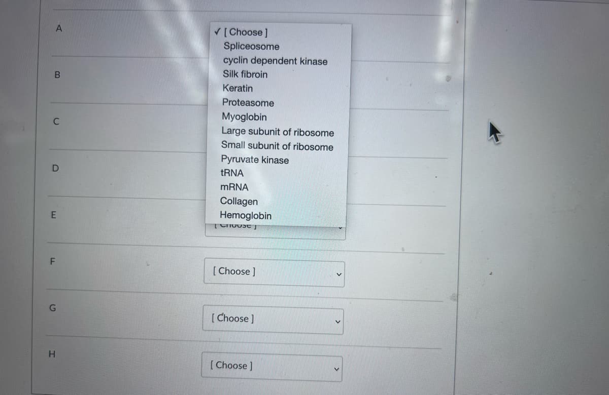 A
V[Choose]
Spliceosome
cyclin dependent kinase
Silk fibroin
Keratin
Proteasome
Myoglobin
Large subunit of ribosome
C
Small subunit of ribosome
Pyruvate kinase
TRNA
MRNA
Collagen
Hemoglobin
[ Choose ]
[ Choose]
H.
[Choose]
