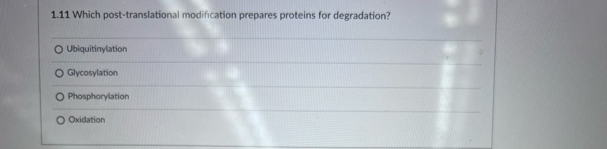 1.11 Which post-translational modification prepares proteins for degradation?
O Ubiquitinylation
O Glycosylation
O Phosphorylation
O Oxidation
