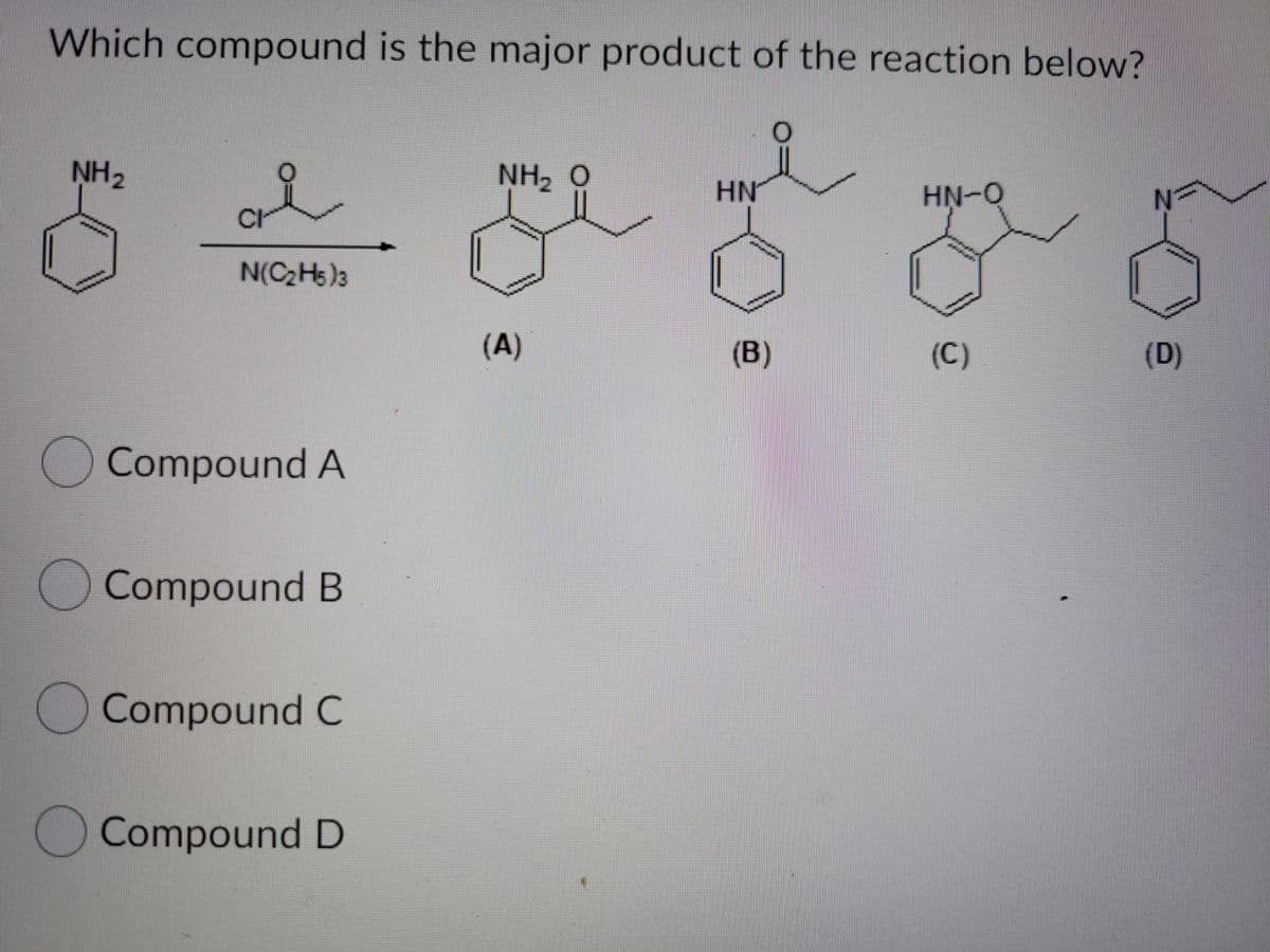 Which compound is the major product of the reaction below?
NH2
NH2
0
HN
HN-O
CI
N(C2H5)3
(A)
(B)
(C)
(D)
Compound A
Compound B
Compound C
Compound D
