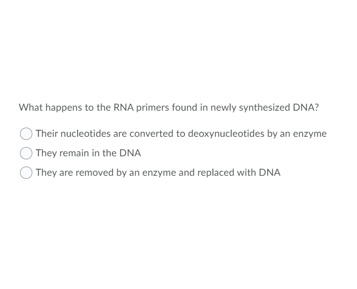 What happens to the RNA primers found in newly synthesized DNA?
Their nucleotides are converted to deoxynucleotides by an enzyme
They remain in the DNA
They are removed by an enzyme and replaced with DNA
