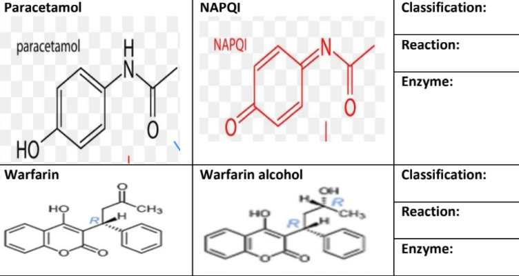 NAPQI
Classification:
Paracetamol
NAPQI
Reaction:
paracetamol
Enzyme:
HOʻ
Warfarin alcohol
Classification:
Warfarin
HR
CHS
но
CH3
но
Reaction:
Enzyme:
IZ
