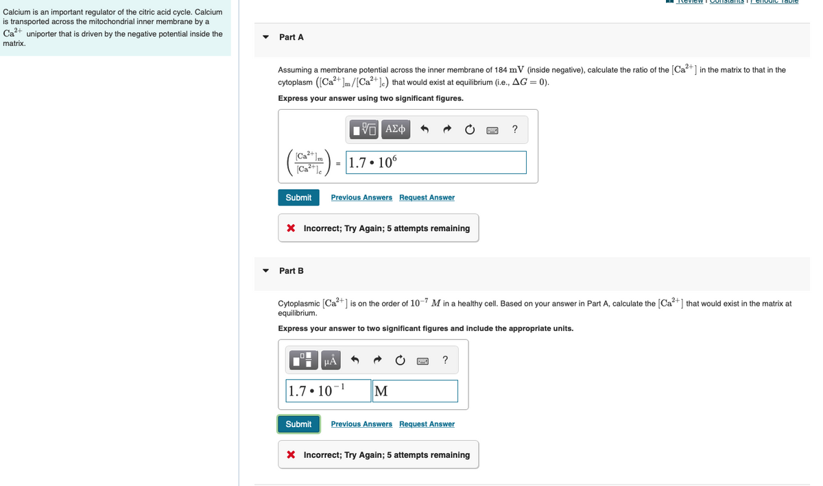 Review T Constants
Calcium is an important regulator of the citric acid cycle. Calcium
is transported across the mitochondrial inner membrane by a
Ca+ uniporter that is driven by the negative potential inside the
Part A
matrix.
Assuming a membrane potential across the inner membrane of 184 mV (inside negative), calculate the ratio of the [Ca2+] in the matrix to that in the
cytoplasm ([Ca?+]m/[Ca?+]e) that would exist at equilibrium (i.e., AG = 0).
Express your answer using two significant figures.
[Ca"Im
= 1.7• 106
Submit
Previous Answers Request Answer
X Incorrect; Try Again; 5 attempts remaining
Part B
Cytoplasmic [Ca2+] is on the order of 10-7 M in a healthy cell. Based on your answer in Part A, calculate the [Ca?+1 that would exist in the matrix at
equilibrium.
Express your answer to two significant figures and include the appropriate units.
HÁ
?
|1.7 • 10-1
Submit
Previous Answers Request Answer
X Incorrect; Try Again; 5 attempts remaining
