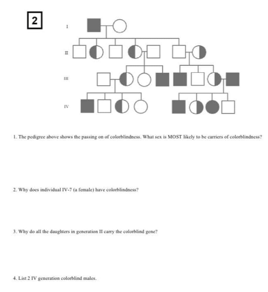 2
11
11
IV
1. The pedigree above shows the passing on of colorblindness. What sex is MOST likely to be carriers of colorblindness?
2. Why does individual IV-7 (a female) have colorblindness?
3. Why do all the daughters in generation II carry the colorblind gene?
4. List 2 IV generation colorblind males.