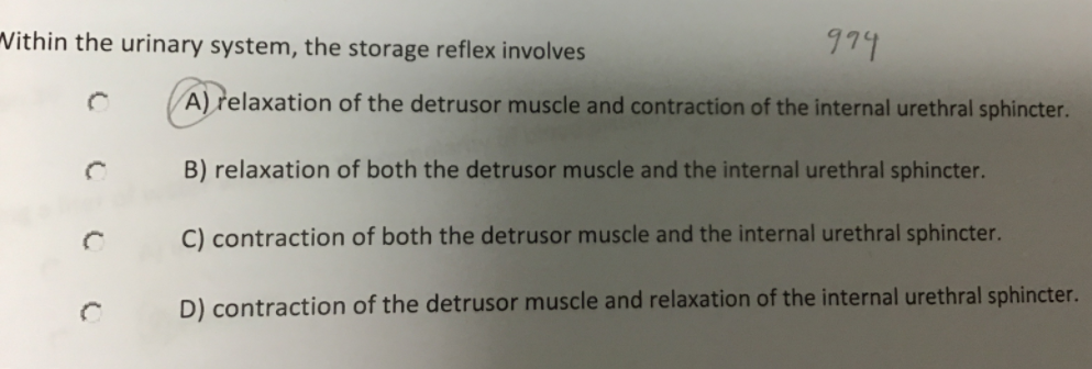 Within the urinary system, the storage reflex involves
974
A) relaxation of the detrusor muscle and contraction of the internal urethral sphincter.
B) relaxation of both the detrusor muscle and the internal urethral sphincter.
C) contraction of both the detrusor muscle and the internal urethral sphincter.
D) contraction of the detrusor muscle and relaxation of the internal urethral sphincter.
